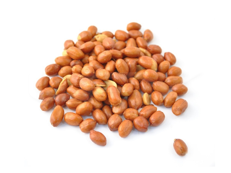 Kacang Tanah India / Groundnut / 印度花生